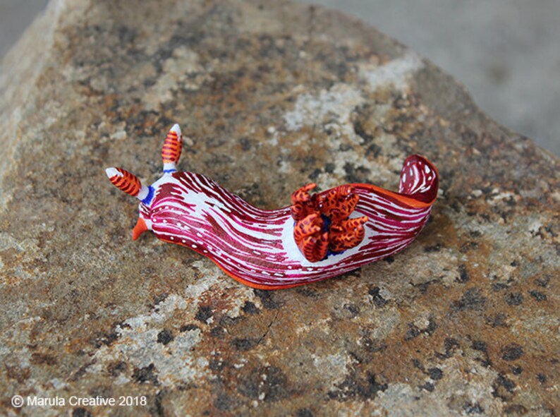 Stonei the Nudibranch Nembrotha livingstonei