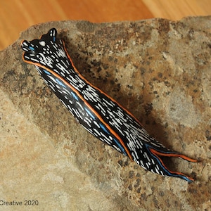 Nax the Nudibranch (Navanax inermis)