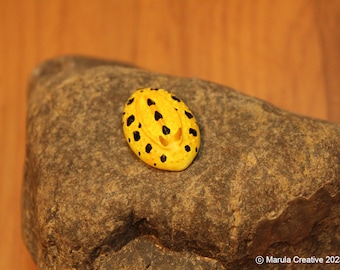 Dot the Nudibranch (Phyllidia polkadotsa)