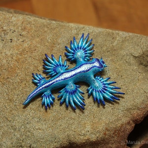 Atlan the Nudibranch Glaucus atlanticus Blue Dragon image 10