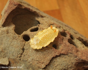 Orio the Nudibranch (Doriopsilla albopunctata)