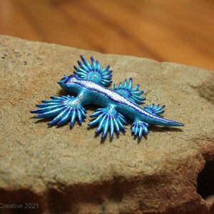 Atlan the Nudibranch Glaucus atlanticus Blue Dragon image 7