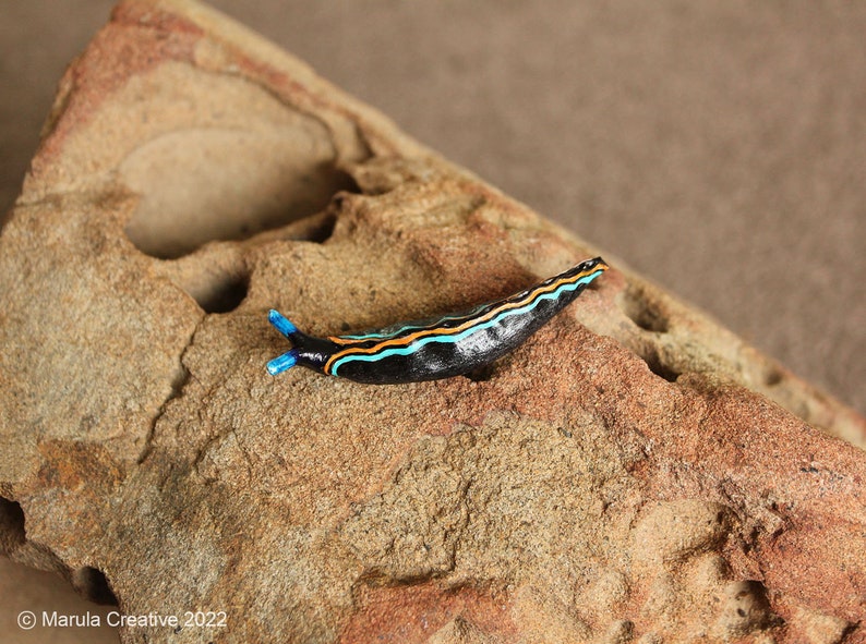 Vida the Nudibranch Thuridilla livida image 4