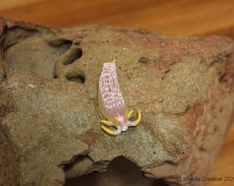 C4 the Nudibranch (Cerberilla sp. 4)
