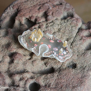 Mida the Nudibranch (Felimida marislae)
