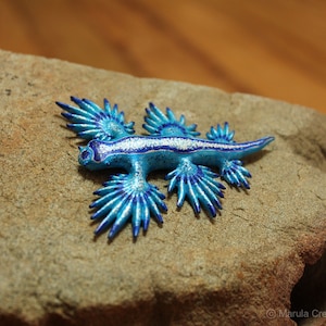 Atlan the Nudibranch Glaucus atlanticus Blue Dragon image 5