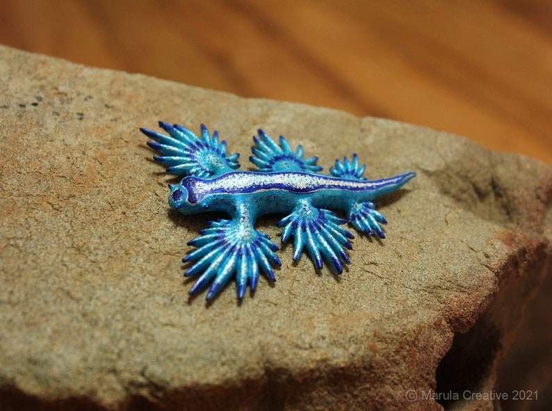 Atlan the Nudibranch Glaucus atlanticus Blue Dragon image 5