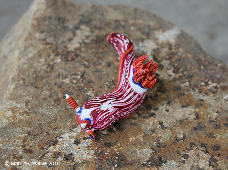 Stonei the Nudibranch Nembrotha livingstonei