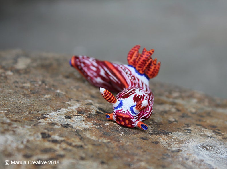Stonei the Nudibranch Nembrotha livingstonei