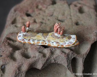 Tella the Nudibranch (Chromodoris striatella)
