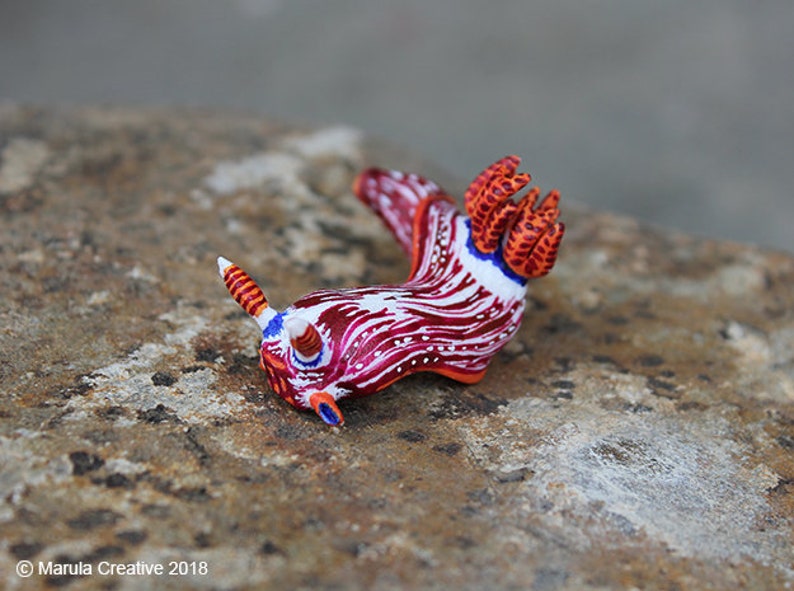 Stonei the Nudibranch Nembrotha livingstonei