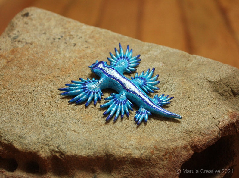 Atlan the Nudibranch Glaucus atlanticus Blue Dragon image 8