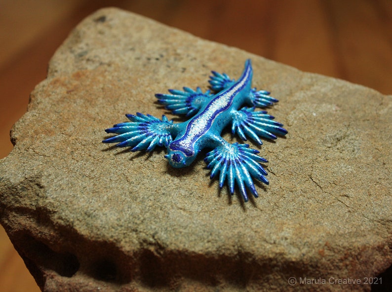 Atlan the Nudibranch Glaucus atlanticus Blue Dragon image 4