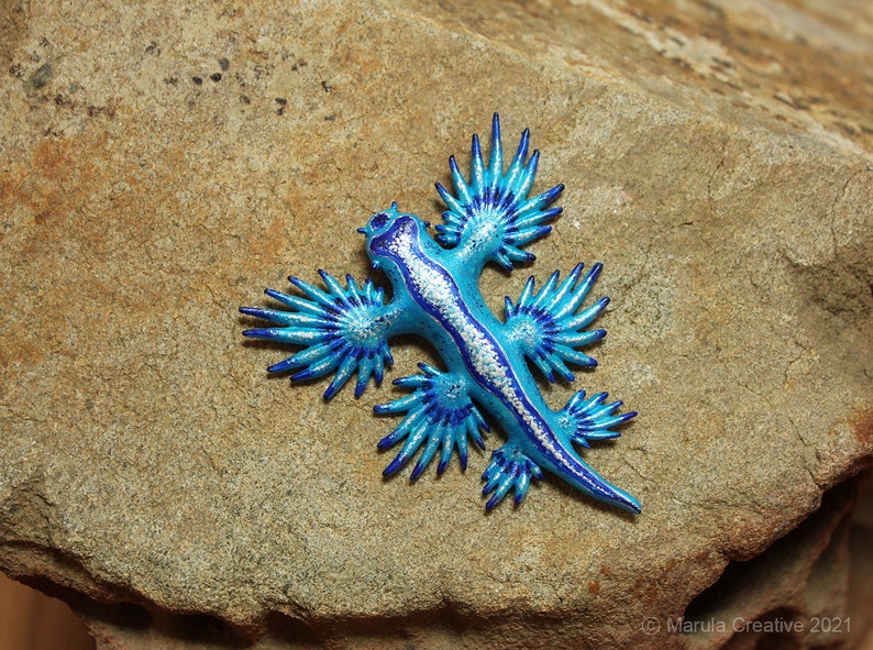 Atlan the Nudibranch Glaucus atlanticus Blue Dragon image 9