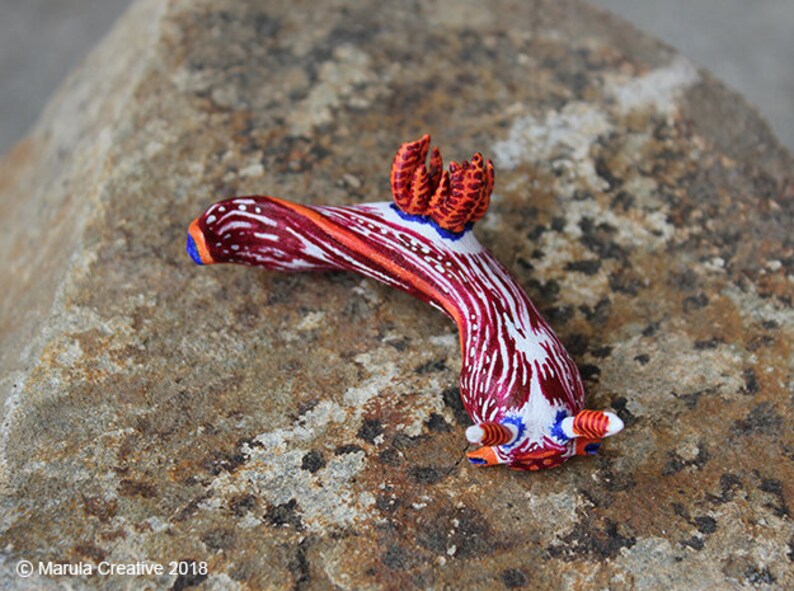 Stonei the Nudibranch Nembrotha livingstonei