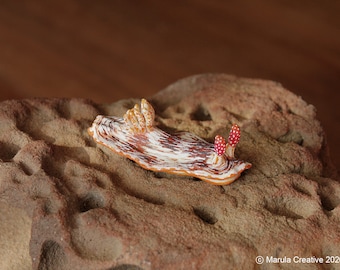 Bala the Nudibranch (Chromodoris balat)