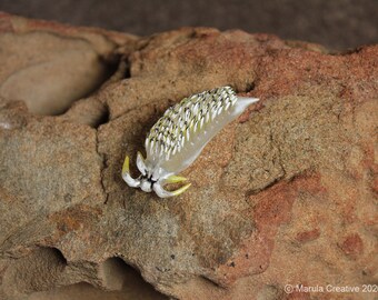 C9 the Nudibranch (Cerberilla sp. 9)