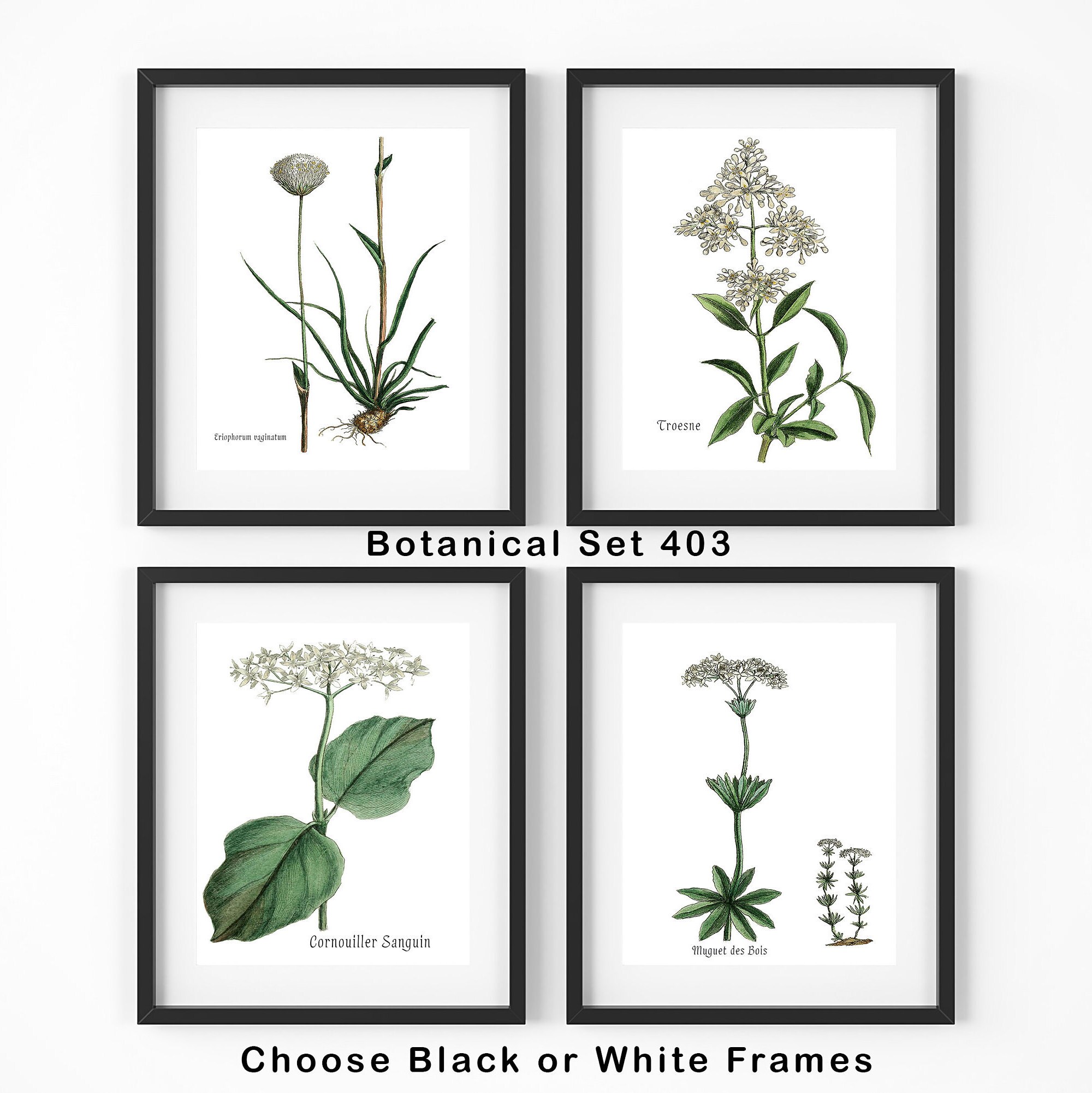 Botanical Print Set Framed Art Of 4 Prints Modern Farmhouse Botanical Print Set Framed Art Of 4 Prints Modern Farmhouse Decor Wall Bathroom Vintage Fl