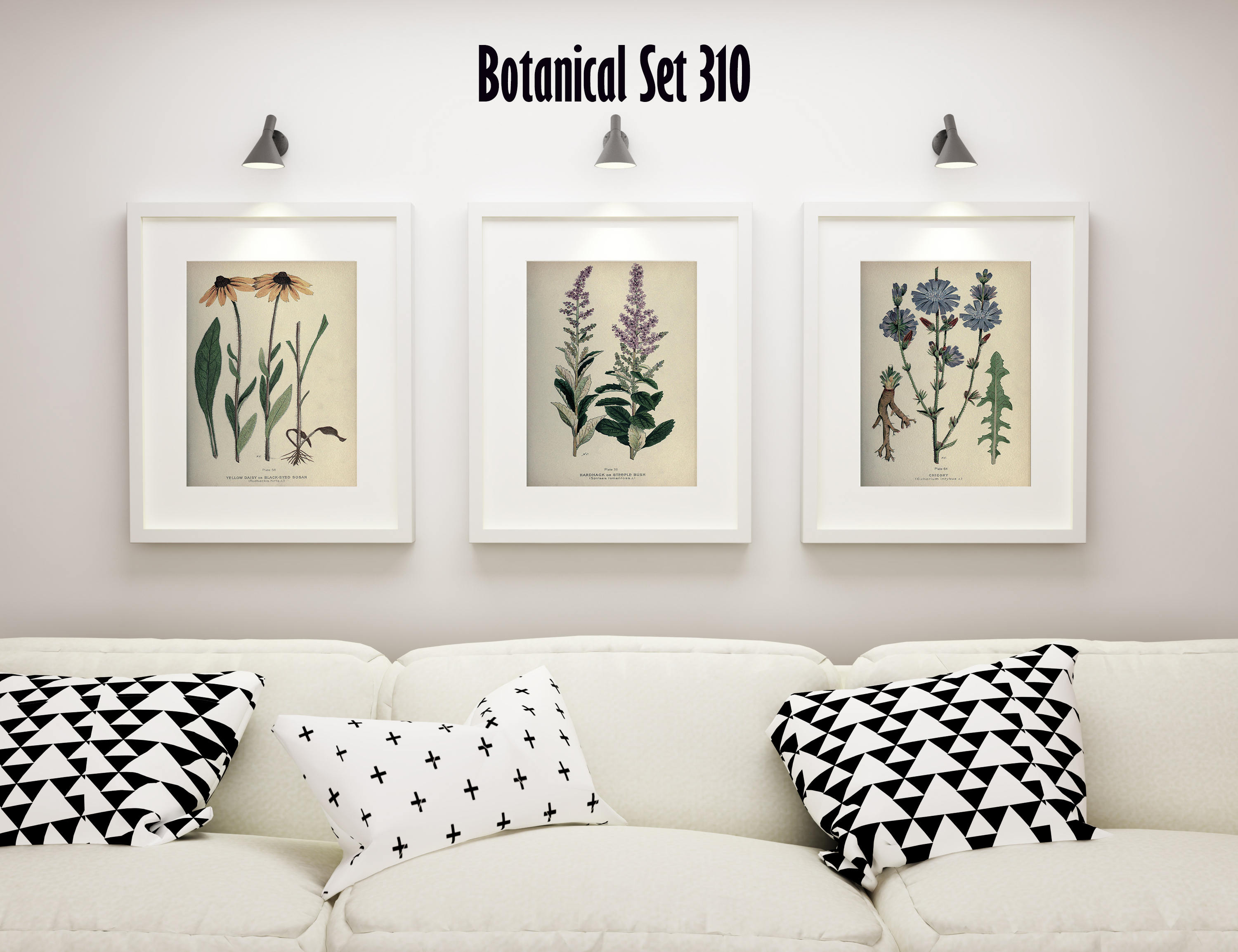 Botanical Print Set Of 3 Wildflower Wall Art Antique Botanical Print Set Of 3 Wildflower Wall Art Antique Prints Modern Farmhouse Decor Housewarming Gift