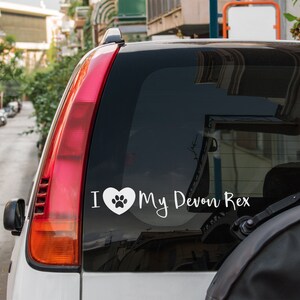 May include: A white car with a sticker on the back window that says "I love my Devon Rex" with a paw print inside a heart.