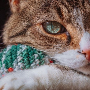 Assorted Cat Nip Ball Toy