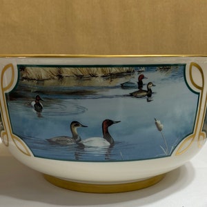 RARE Waterfowl of Maynard Reece, signed by the artist, 1990.  Note:  Please read entire description focusing on condition.