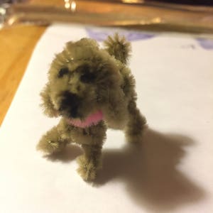 Cachorro limpiador de tuberías