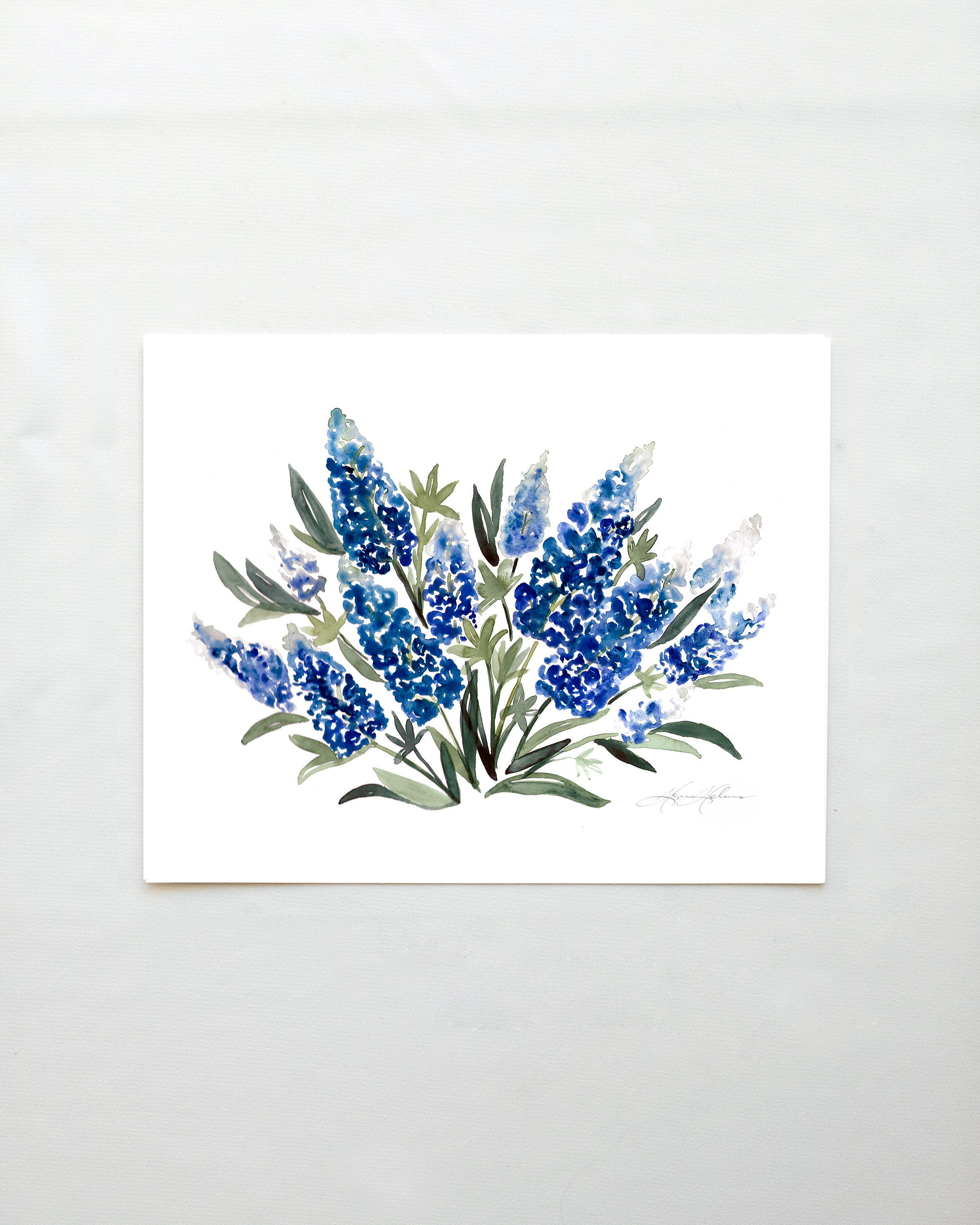 Bluebonnet Painting No. 1 Watercolor Art 16x20 18x24 Blue Flower Print Bluebonnet Art Bluebonnet Illustration Large Wall Art Etsy