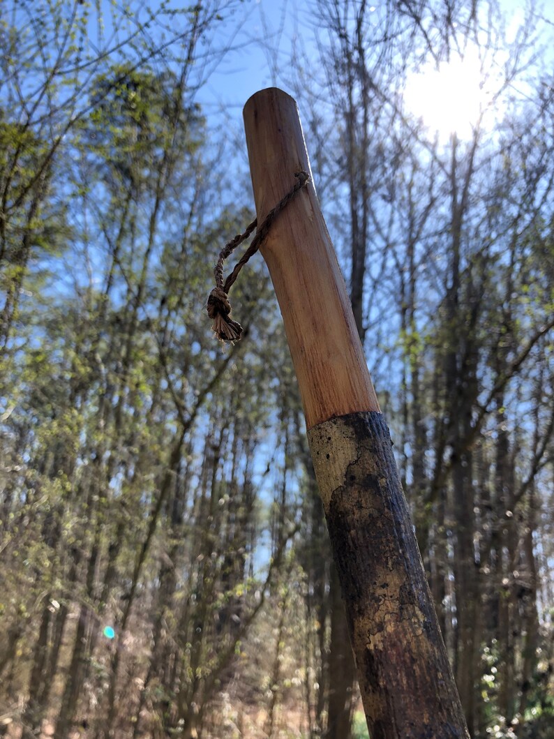 Walking Sticks Handmade From Poplar see Description Etsy