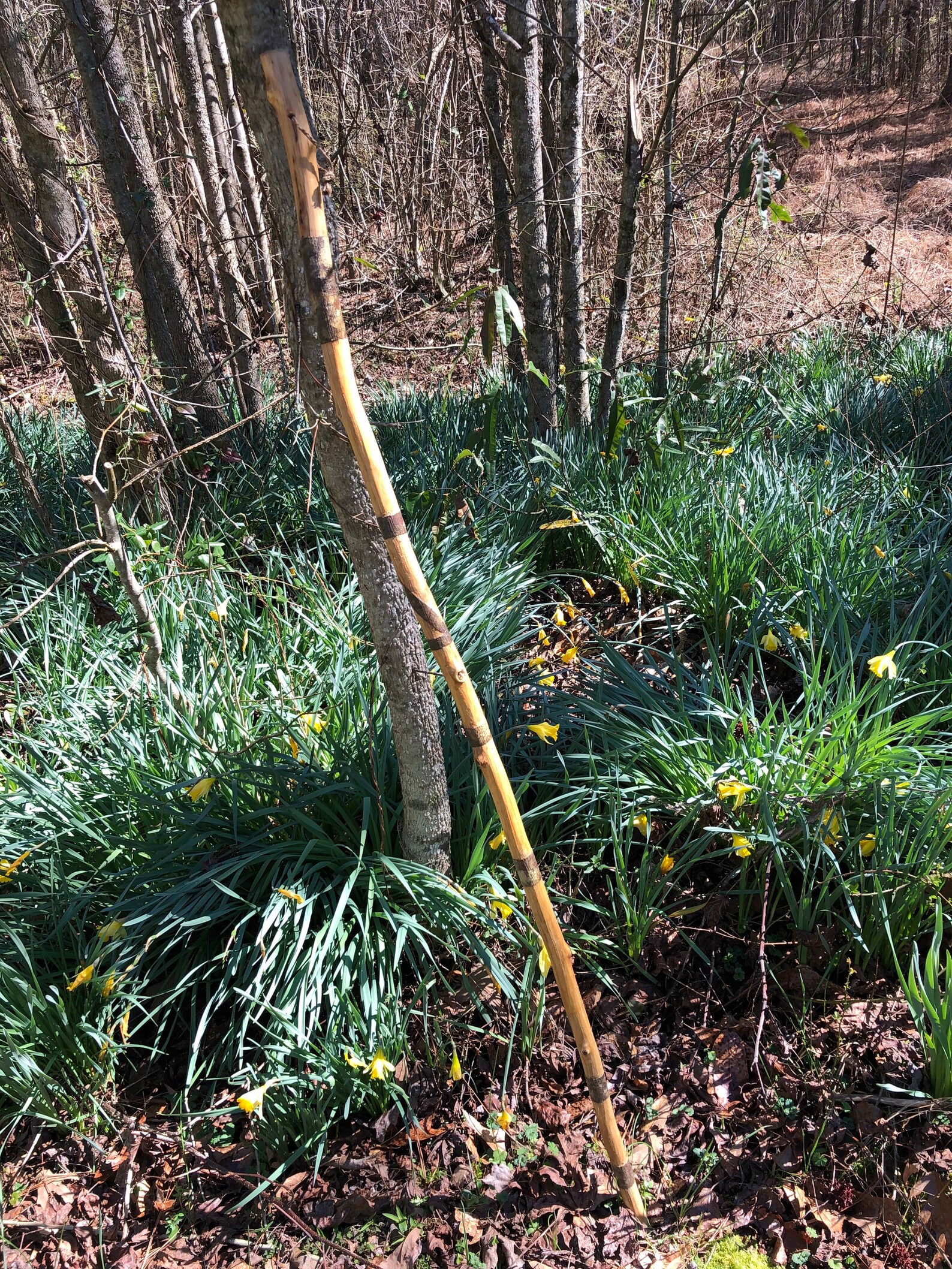 Walking Sticks Handmade From Poplar see Description Etsy