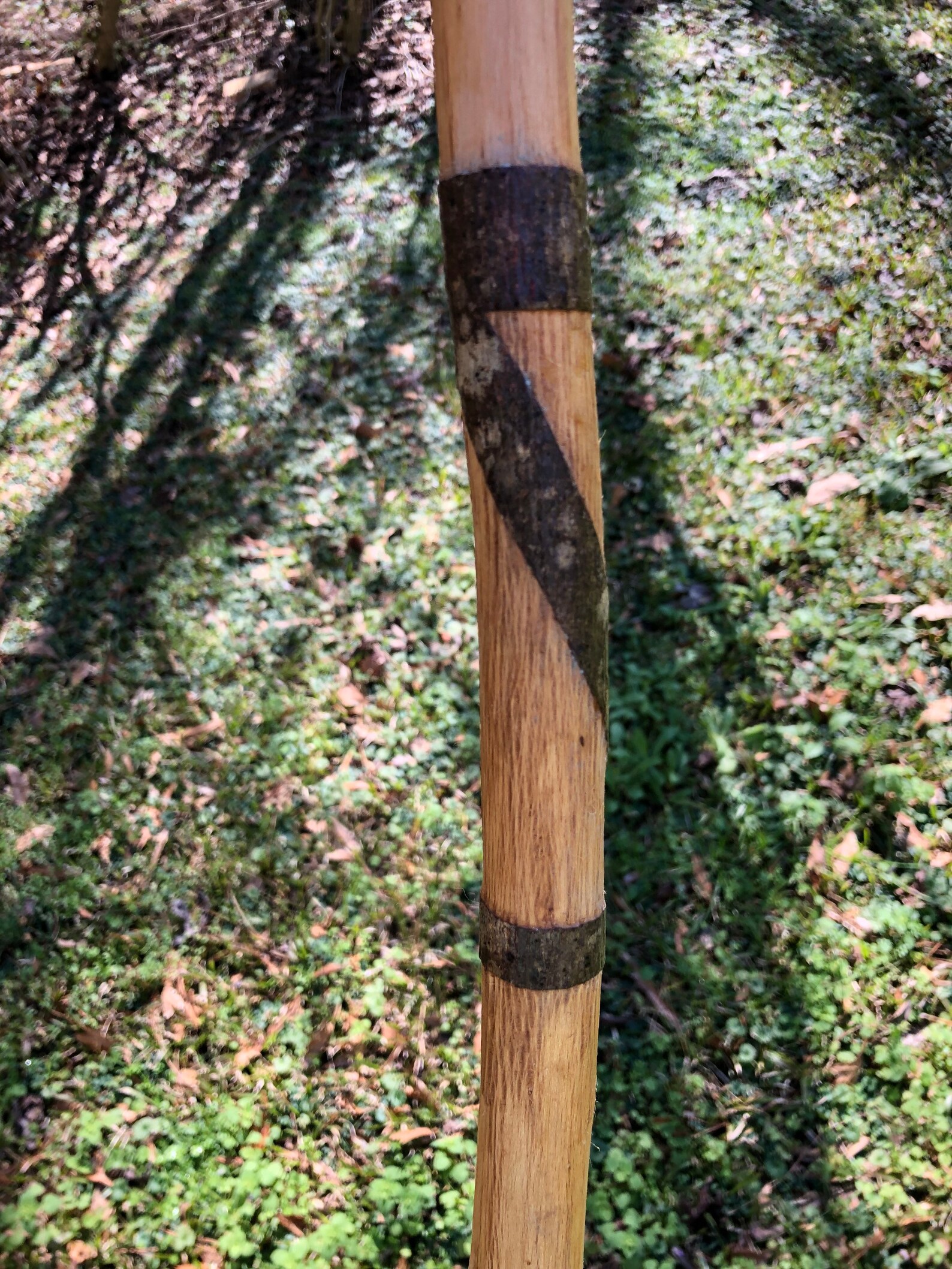 Walking Sticks Handmade from Poplar See Description Etsy