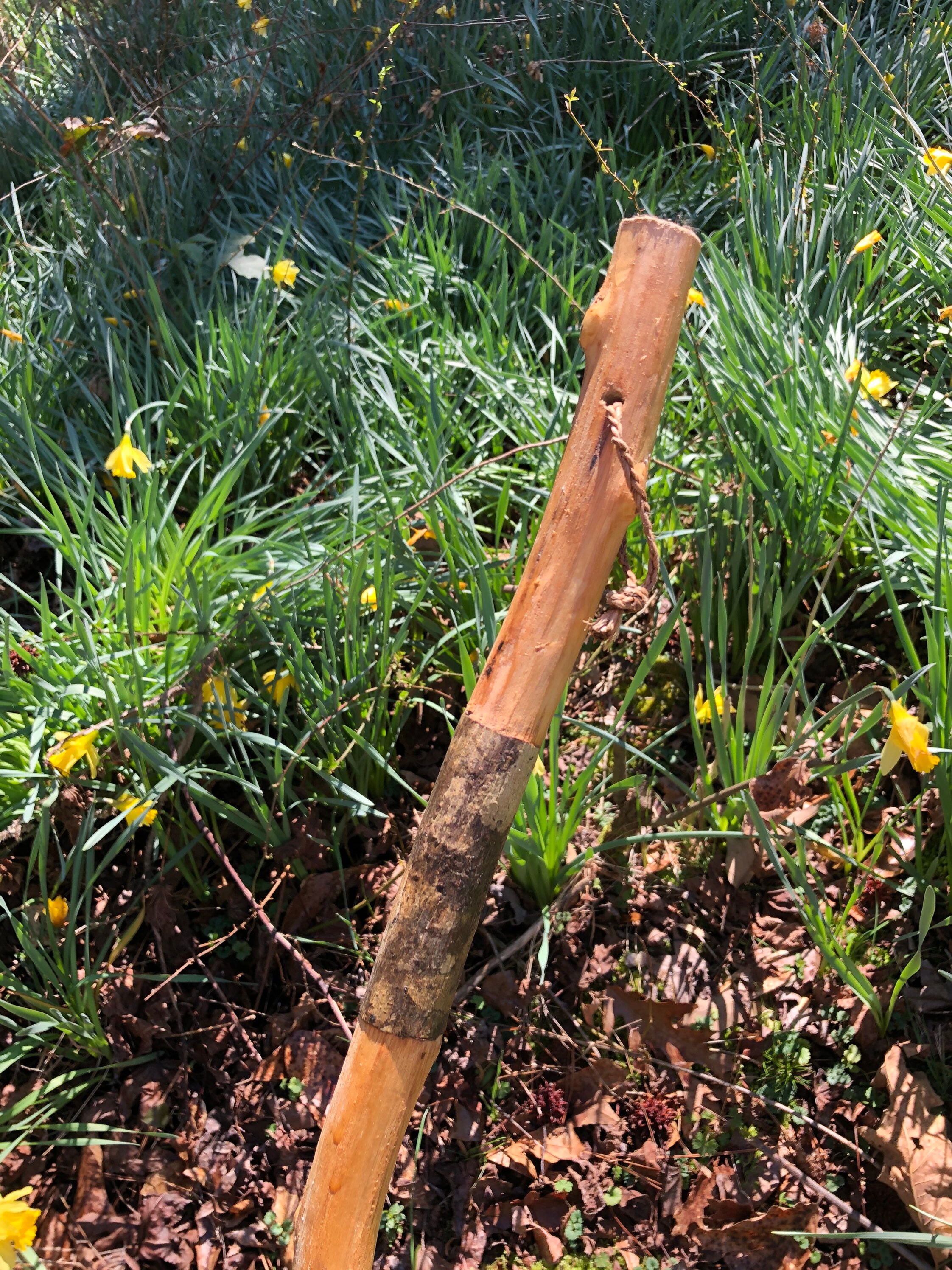 Walking Sticks Handmade from Poplar See Description Etsy