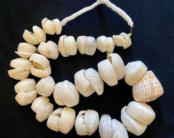 May include: A white shell necklace with a variety of different sized shells. The necklace is made of natural shells and is strung on a white cord.