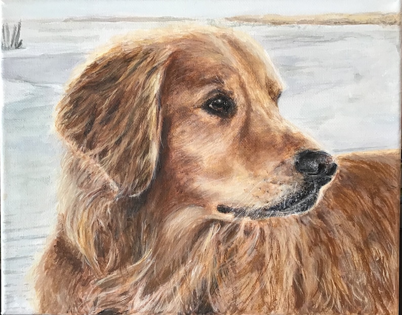Pet Portrait on canvas Commissioned
