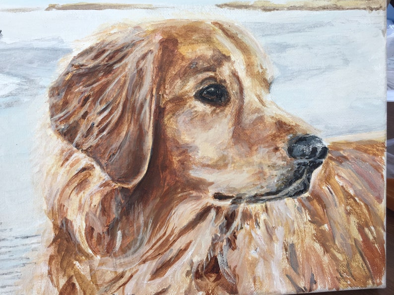 Pet Portrait on canvas Commissioned