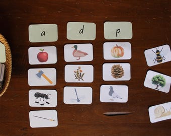 Fonética, lectura, ortografía, tarjetas didácticas y con imágenes, juego de sonidos, aprender a leer, jardín de infantes, preescolar, educación en el hogar