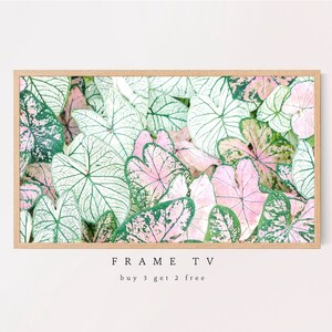 Samsung Frame TV Art, Springtime, Caladium, Plant, Leaves, Pink, Green Samsung Art TV, Digital Download for Samsung Frame, Digital Download