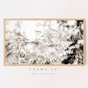 Samsung Frame TV Art, Snowy Owl in flight, Samsung Art TV, Bird, Owl, Digital Download for Samsung Frame, Digital Download