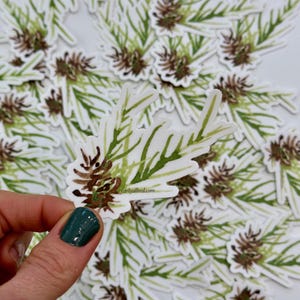 May include: A sheet of stickers featuring a watercolor illustration of a green and brown plant with a white background. The stickers are arranged in a random pattern and are ready to be used.