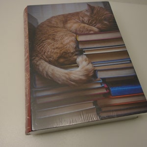 Jigsaw 1000 pc &quot;Cat Nap&quot; Puzzle Gibbs Smith Third Print collectible Bookcase Style Cat sleeping atop books image by Andrey Khusnutdinov