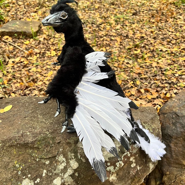 Archaeopteryx dinosaur art doll (Life-Size)