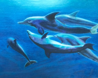 Pod of Dolphins, 9”x 12” colored pencil drawing, illustration ,under water art, marine mammals