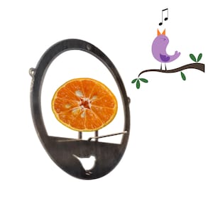 Raw Steel Fruit Bird Feeder: Oriole & Woodpecker Feeder, Made in USA