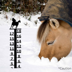 Horse Snow Gauge: Measures up to 18&quot; Snowfall | Made in America