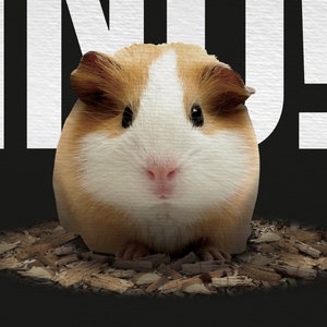 A3 funny animal print guinea pig poster techno wall art image 3