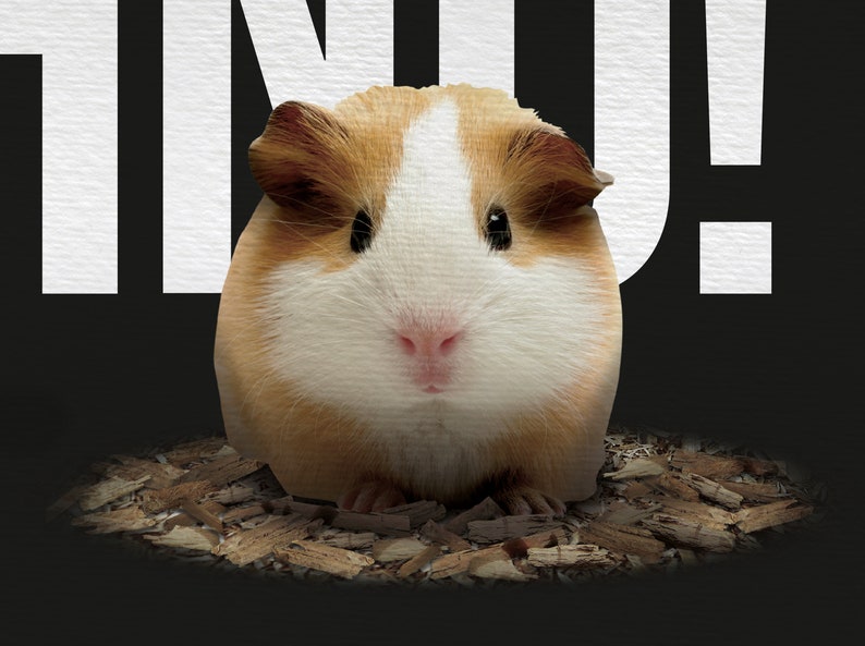 A3 funny animal print guinea pig poster techno wall art image 3