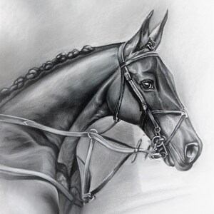 Original Art Painting - A Black Horse - Pastel - Hahnemühle Fine Art Print - Digital Print