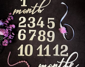 Wooden Milestone Numbers for first year. Memorial Cards, Baby Monthly Cards, Baby photo, baby accessory. Newborn baby shower gift Photo prop