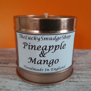 Pineapple & Mango Candle Summertime Fruity Fragrance 100g Tin Container Soy Wax