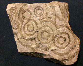 Passage Stone - Petroglyph based upon Motives from the Fourknocks  Passage Tomb / Ireland